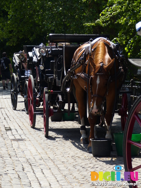 FZ018232 Carriages lined up